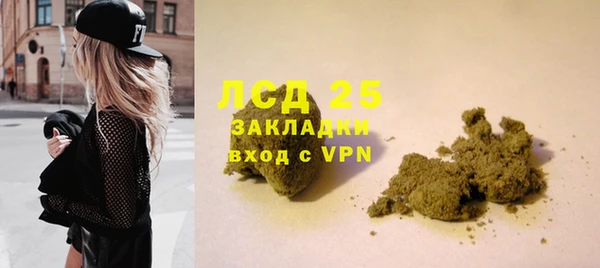 твердый Алзамай