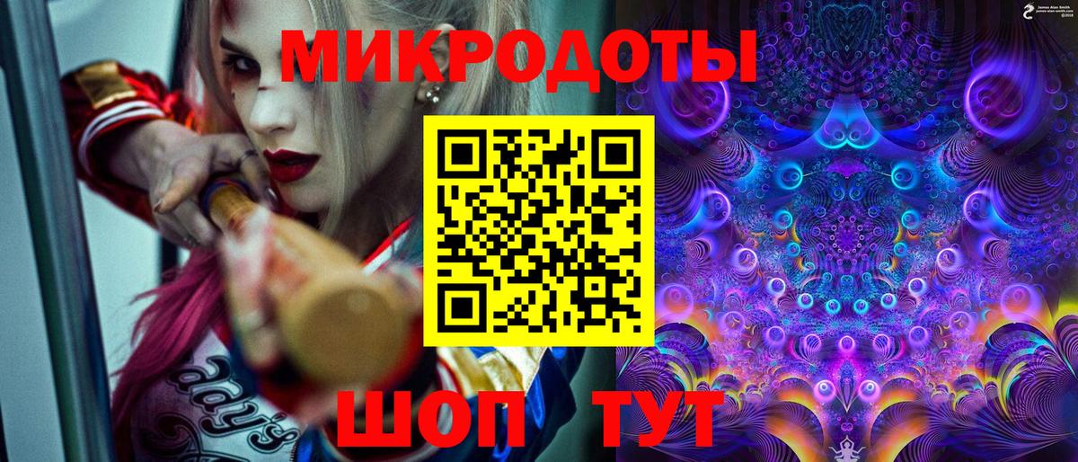 Галлюциногенные грибы Psilocybe Югорск