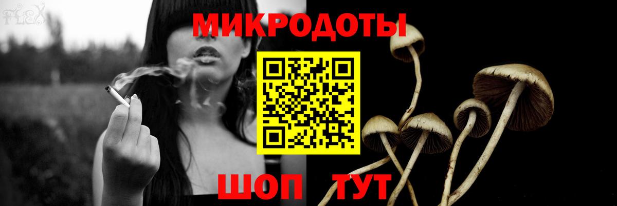 Галлюциногенные грибы Psilocybine cubensis  Вход с VPN  Югорск 